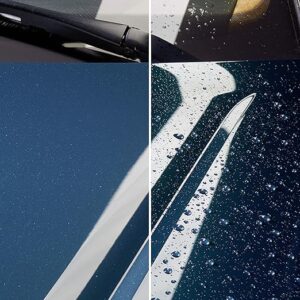 Car Polish (500 mL)